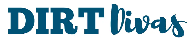 DirtVivas